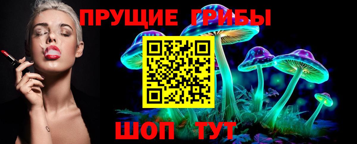 Удомля  Псилоцибиновые грибы прущие грибы  Вход с VPN 